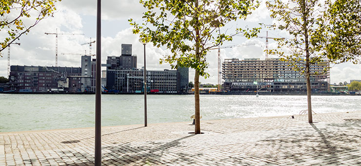 TiM Fysiotherapie Rotterdam